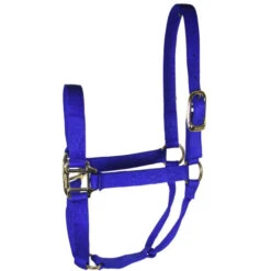 Hamilton Quality 1" Nylon Halter -Equestrian Supplies Store quality 1in nylon halter royal 1Q hamilton 95898.1685665741