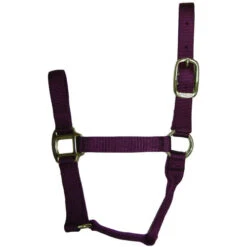 Hamilton Quality 1" Nylon Halter -Equestrian Supplies Store quality 1in nylon halter wine 1QWN hamilton 54194.1685665738