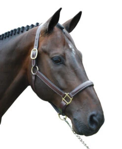 Red Barn Kate Fancy Stitch Halter -Equestrian Supplies Store red barn kate halter brown brass W kl select 63727.1682796912