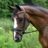Red Barn Pace Snaffle Bridle 1 Red Barn Pace Snaffle Bridle -Equestrian Supplies Store red barn pace snaffle bridle black left kl select 22871.1605304296