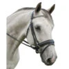 Red Barn Passage Snaffle Bridle -Equestrian Supplies Store red barn passage bridle kl select 74300.1643852185