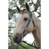 Circle Y Rising Sunflower Brow Headstall 2 Circle Y Rising Sunflower Brow Headstall -Equestrian Supplies Store rising sunflower brow hs brown multicolor lifestyle 1002 10 SC circle y 38157.1613178603