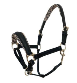 Halter Ego Safari Halter -Equestrian Supplies Store safari halter blk lprd hero SAFARI halter ego 51534.1682706136