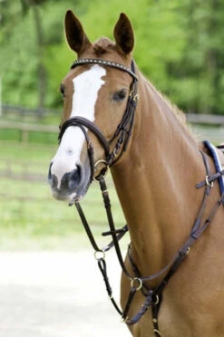 Schockemohle Race II Adjustable Breastplate -Equestrian Supplies Store schockemoehle race ii adjustable breastplate 6 07763 65424.1527295494