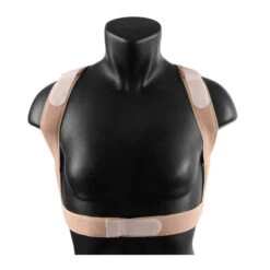 ShouldersBack Lite In Beige -Equestrian Supplies Store shoulders back beige front equifit 47937.1658343976