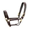 Walsh Signature Pony Halter 1 Walsh Signature Pony Halter -Equestrian Supplies Store signature halter havana brown brass walsh 17538.1557953983