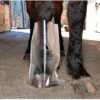 Hoof Wraps Soaking Sack/Liner 1 Hoof Wraps Soaking Sack/Liner -Equestrian Supplies Store soaker sack 26138 80805.1527304209