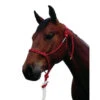 Double Diamond 100 Stiff Rope Halter 2 Double Diamond 100 Stiff Rope Halter -Equestrian Supplies Store stiff rope halter 100 red double diamond 46964.1635013220