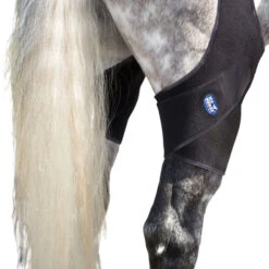 Ice Horse Stifle Wrap -Equestrian Supplies Store stifle wrap on horse ice horse 40889.1595626945