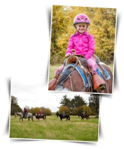 BOOMA Rein Safety Rein -Equestrian Supplies Store story 18086 04407.1527296824