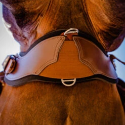 StretchTec Shoulder Relief Cinch -Equestrian Supplies Store stretchtec shoulder relief cinch brown on horse ST SRC 28 BRN BLN total saddle fit 28912.1634504248