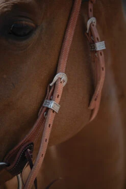 Weaver Leather Weaver Synergy Latigo Lined Brow Headstall -Equestrian Supplies Store synergy latigo lined brow headstall buckles 10056100002 weaver 47655.1669081104