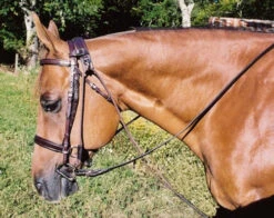 Tory Leather Chambon -Equestrian Supplies Store tory leather chambon 24 11927 15638.1556067492