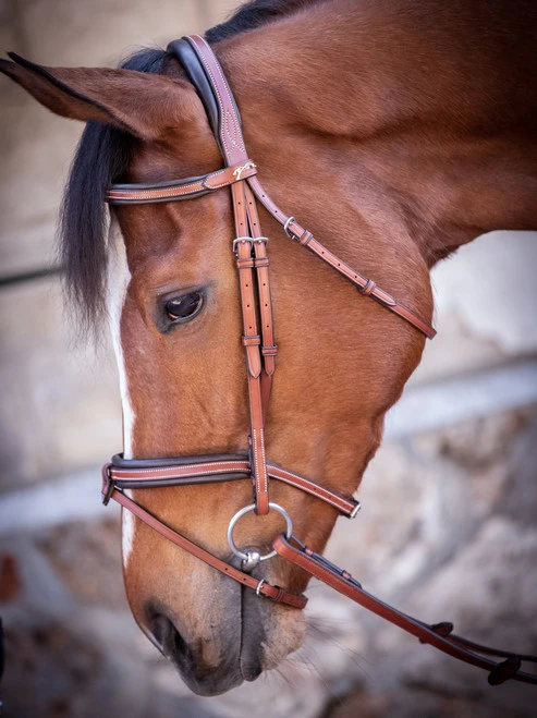 PÉNÉLOPE Pénélope US Bridle 3 PÉNÉLOPE Pénélope US Bridle