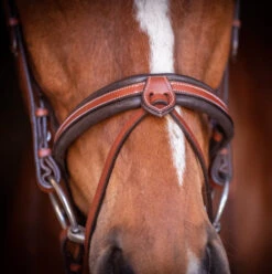 PÉNÉLOPE Pénélope US Bridle 7 PÉNÉLOPE Pénélope US Bridle -Equestrian Supplies Store us bridle hazelnut noseband front 301 602 318 penelope 28145.1688760568