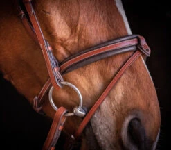 PÉNÉLOPE Pénélope US Bridle 8 PÉNÉLOPE Pénélope US Bridle -Equestrian Supplies Store us bridle hazelnut noseband side 301 602 318 penelope 05577.1688760560