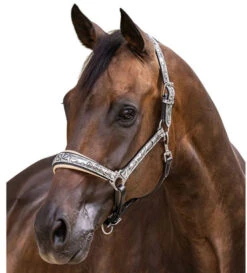 Halter Ego Venetian Floral Halter -Equestrian Supplies Store venetian floral halter slvr crm halter ego 46536.1682705257