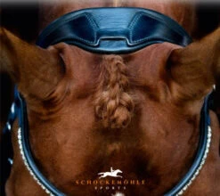 Schockemohle Venice Anatomic Double Bridle 5 Schockemohle Venice Anatomic Double Bridle -Equestrian Supplies Store venice bridle crown 06393 85054.1533578902