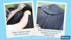 Wintec Webbers -Equestrian Supplies Store wintec webbers step 2 91843.1546887554